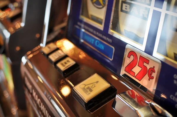 Multi-sport betting dashboard and tournament fixtures